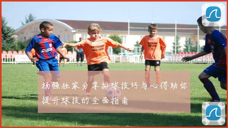 杨强独家分享排球技巧与心得助你提升球技的全面指南