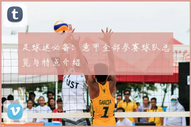 足球迷必备：意甲全部参赛球队总览与特点介绍