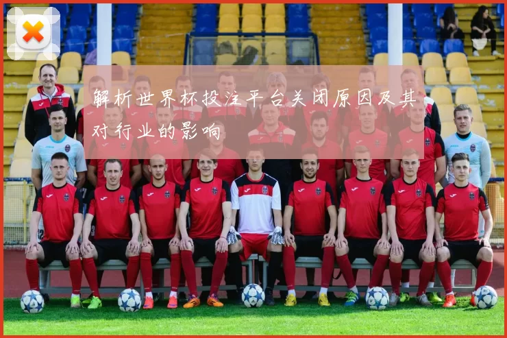 解析世界杯投注平台关闭原因及其对行业的影响