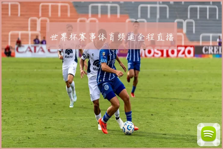 世界杯赛事体育频道全程直播