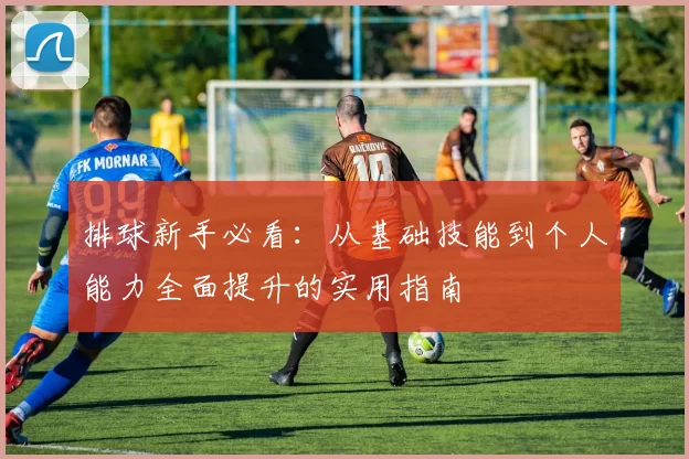排球新手必看：从基础技能到个人能力全面提升的实用指南