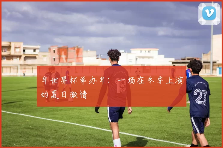年世界杯举办年:一场在冬季上演的夏日激情