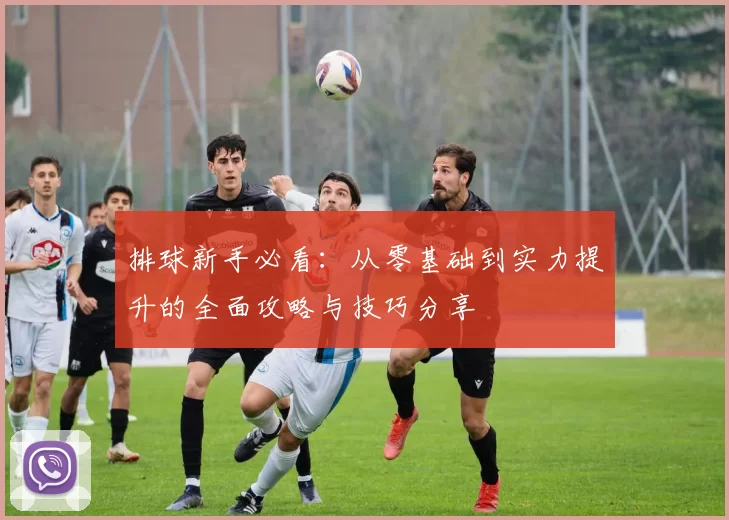排球新手必看:从零基础到实力提升的全面攻略与技巧分享