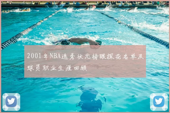 2001年NBA选秀状元榜眼探花名单及球员职业生涯回顾