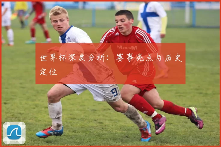 世界杯深度分析：赛事亮点与历史定位