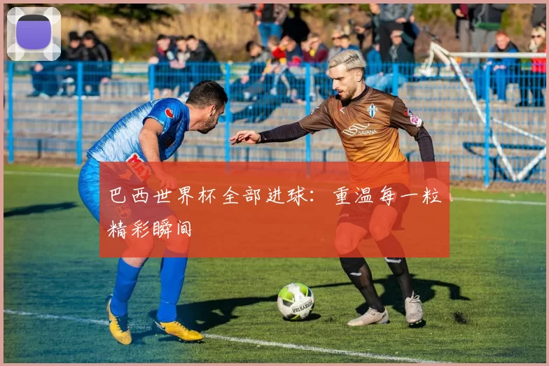 巴西世界杯全部进球:重温每一粒精彩瞬间