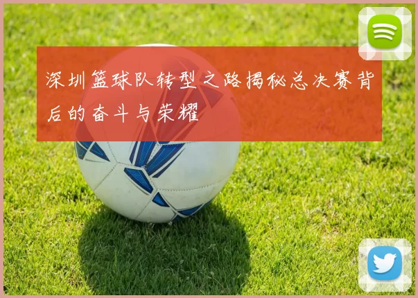 深圳篮球队转型之路揭秘总决赛背后的奋斗与荣耀