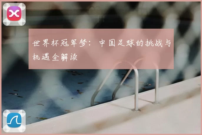 世界杯冠军梦:中国足球的挑战与机遇全解读