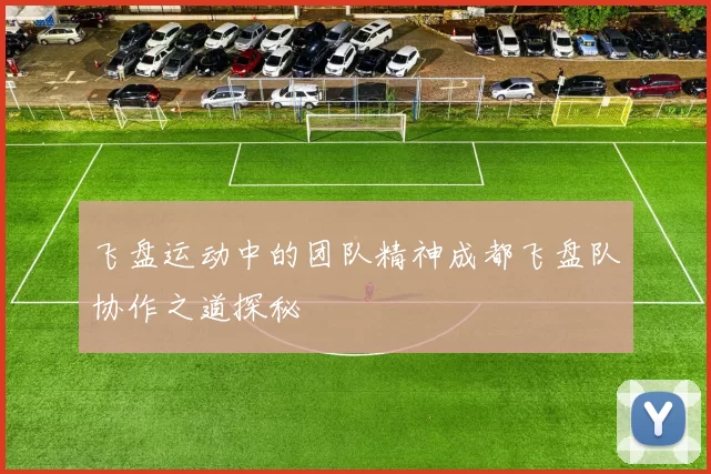 飞盘运动中的团队精神成都飞盘队协作之道探秘