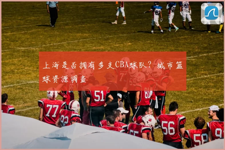 上海是否拥有多支CBA球队?城市篮球资源调查
