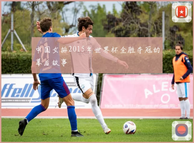 中国女排2015年世界杯全胜夺冠的幕后故事