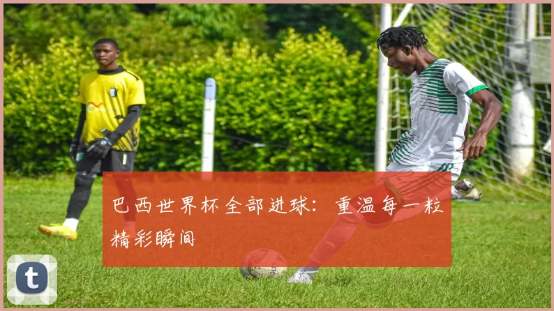 巴西世界杯全部进球:重温每一粒精彩瞬间