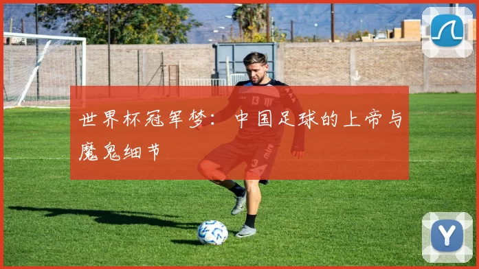 世界杯冠军梦:中国足球的上帝与魔鬼细节