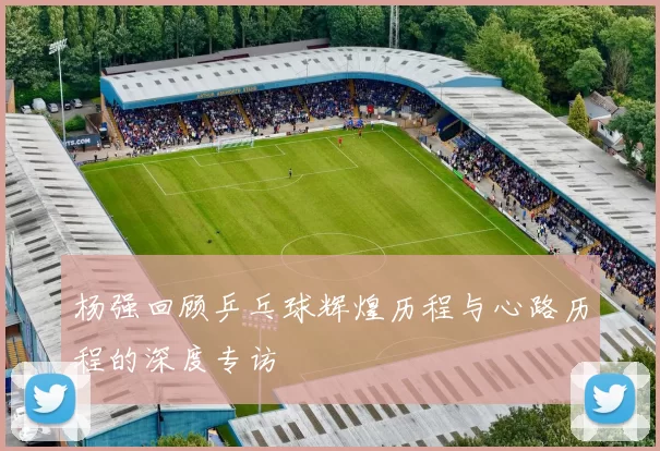 杨强回顾乒乓球辉煌历程与心路历程的深度专访