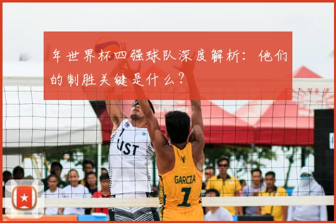 年世界杯四强球队深度解析：他们的制胜关键是什么？