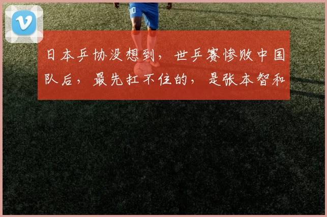 日本乒协没想到,世乒赛惨败中国队后,最先扛不住的,是张本智和