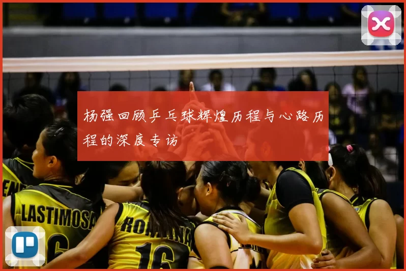 杨强回顾乒乓球辉煌历程与心路历程的深度专访